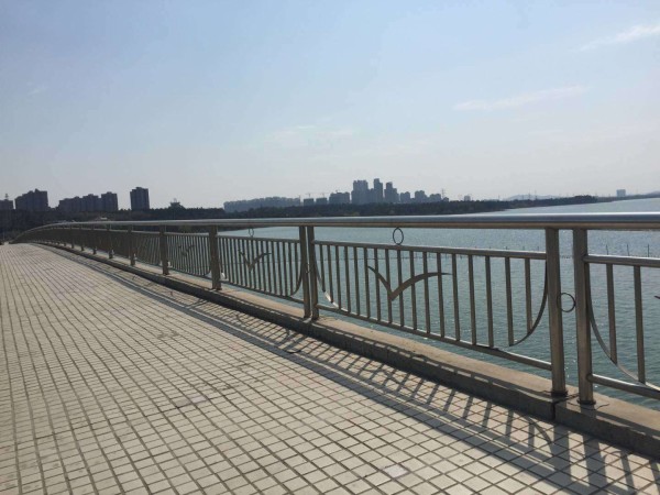 河道不銹鋼護欄