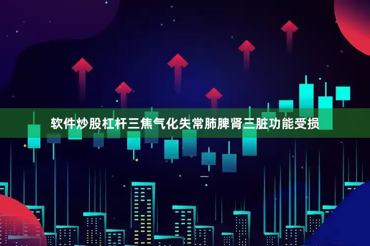 软件炒股杠杆三焦气化失常肺脾肾三脏功能受损